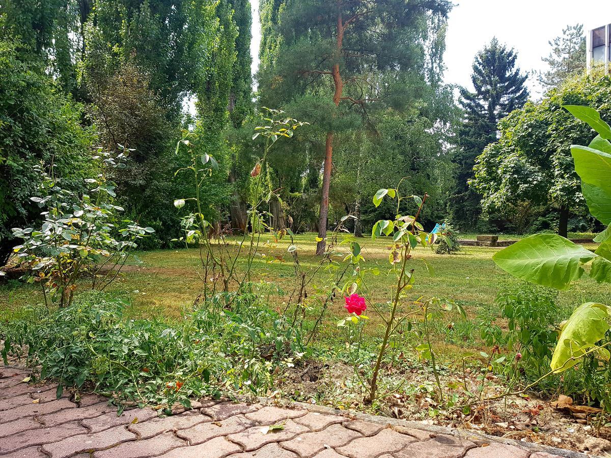 Roza Hotel Es Apartmanhaz Esztergom Exterior foto