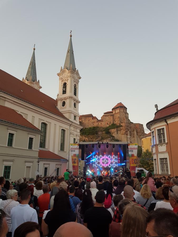 Roza Hotel Es Apartmanhaz Esztergom Exterior foto
